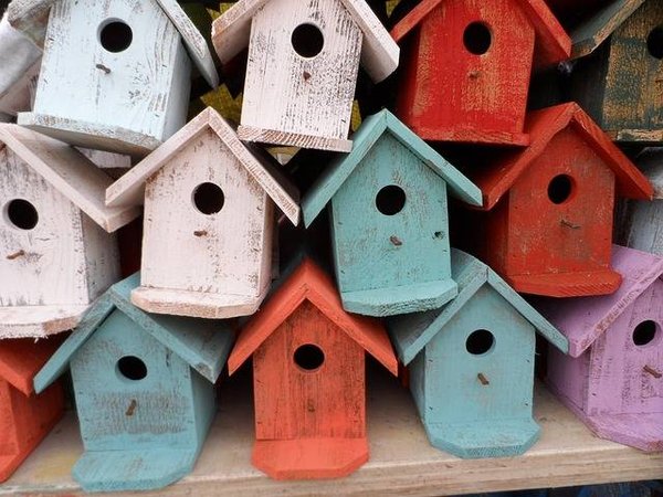 5 raisons pour lesquelles il est intéressant d'installer une volière sur son balcon